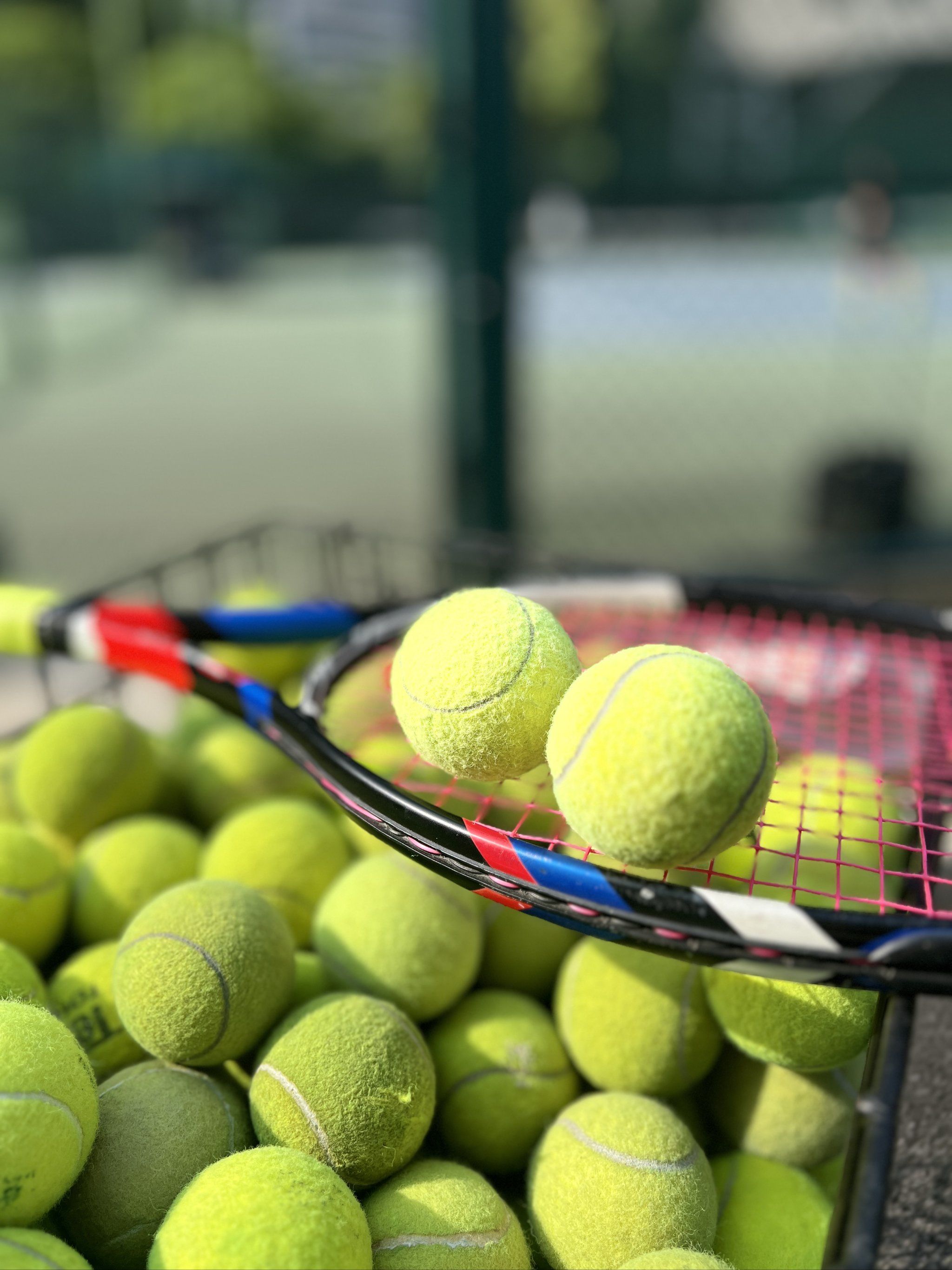 各国都在不 各国都在不